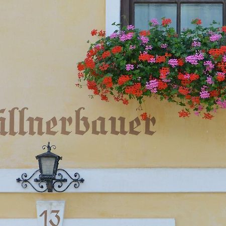Muellnerbauer Appartement Napplach Buitenkant foto